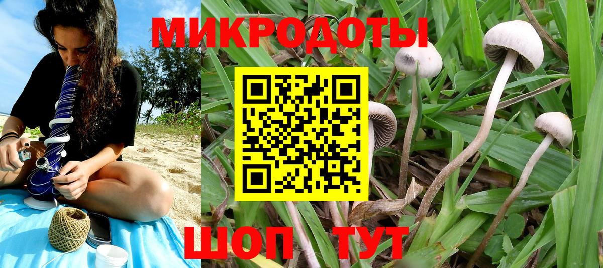 Галлюциногенные грибы GOLDEN TEACHER  Вход с VPN  Оренбург 