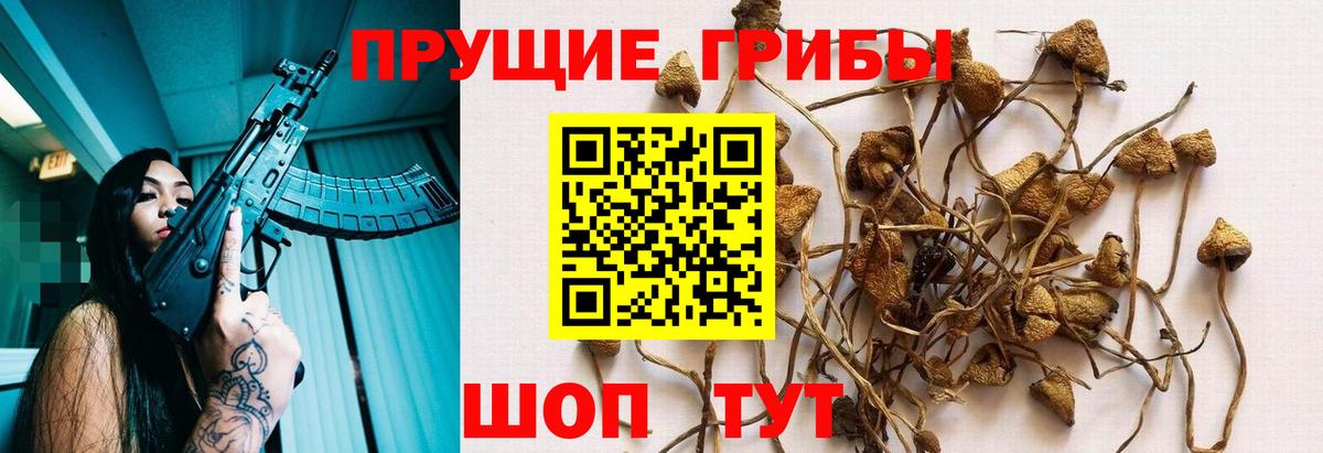 Галлюциногенные грибы мухоморы Оренбург