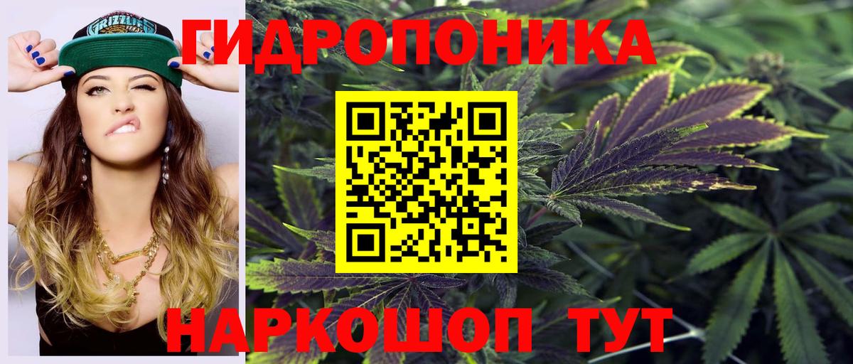 Бошки марихуана White Widow  Марихуана White Widow  Оренбург  Вход с VPN  Бошки марихуана семена 